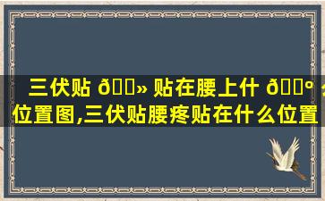 三伏贴 🌻 贴在腰上什 🐺 么位置图,三伏贴腰疼贴在什么位置图